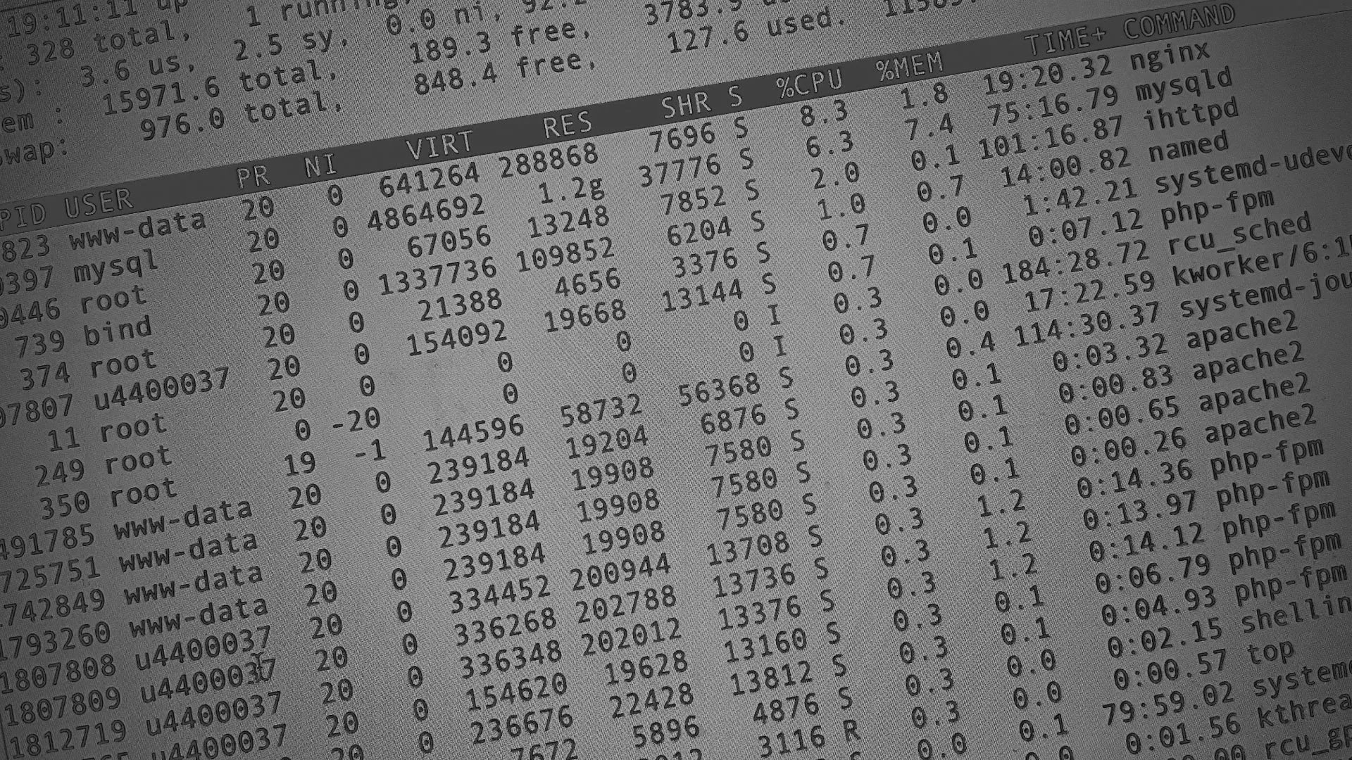 Настройка сервера в Мытищах