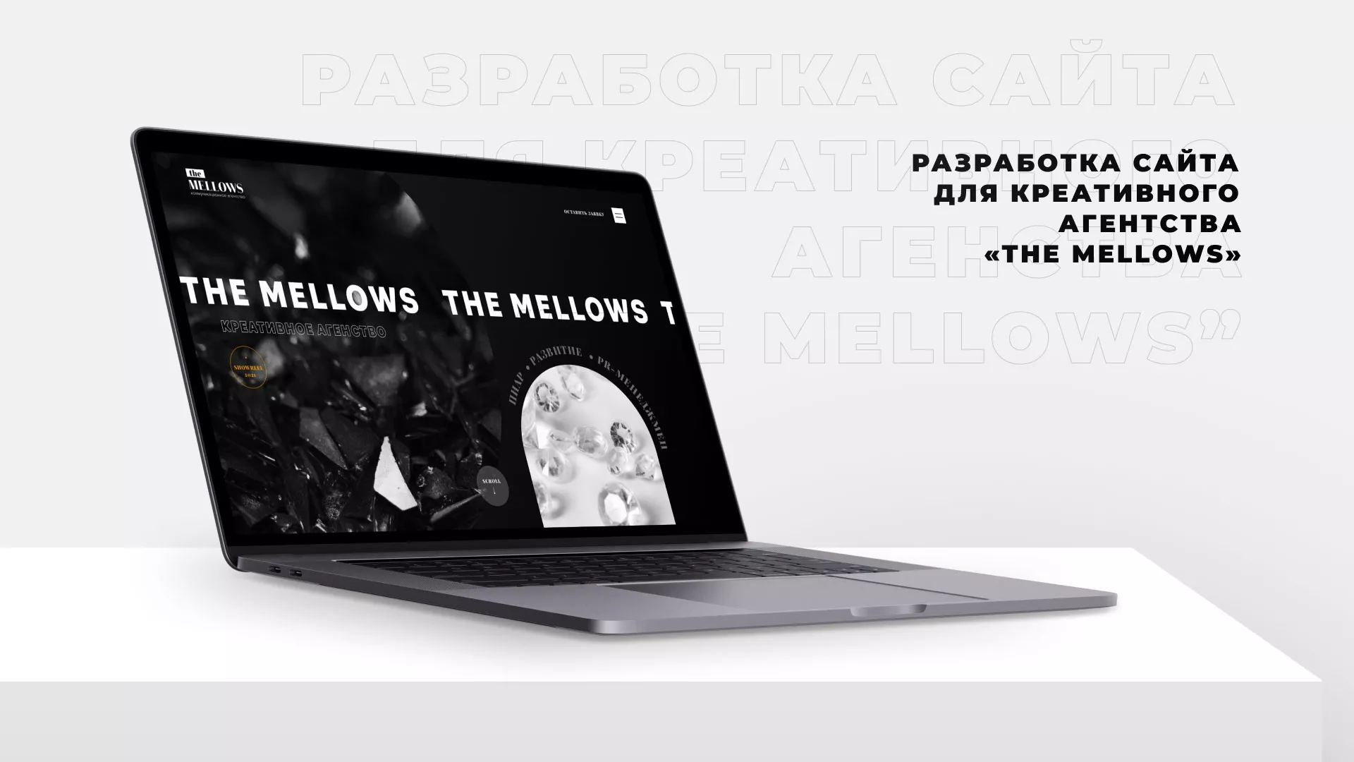 Разработка сайта креативного агентства «The Mellows» в Мытищах
