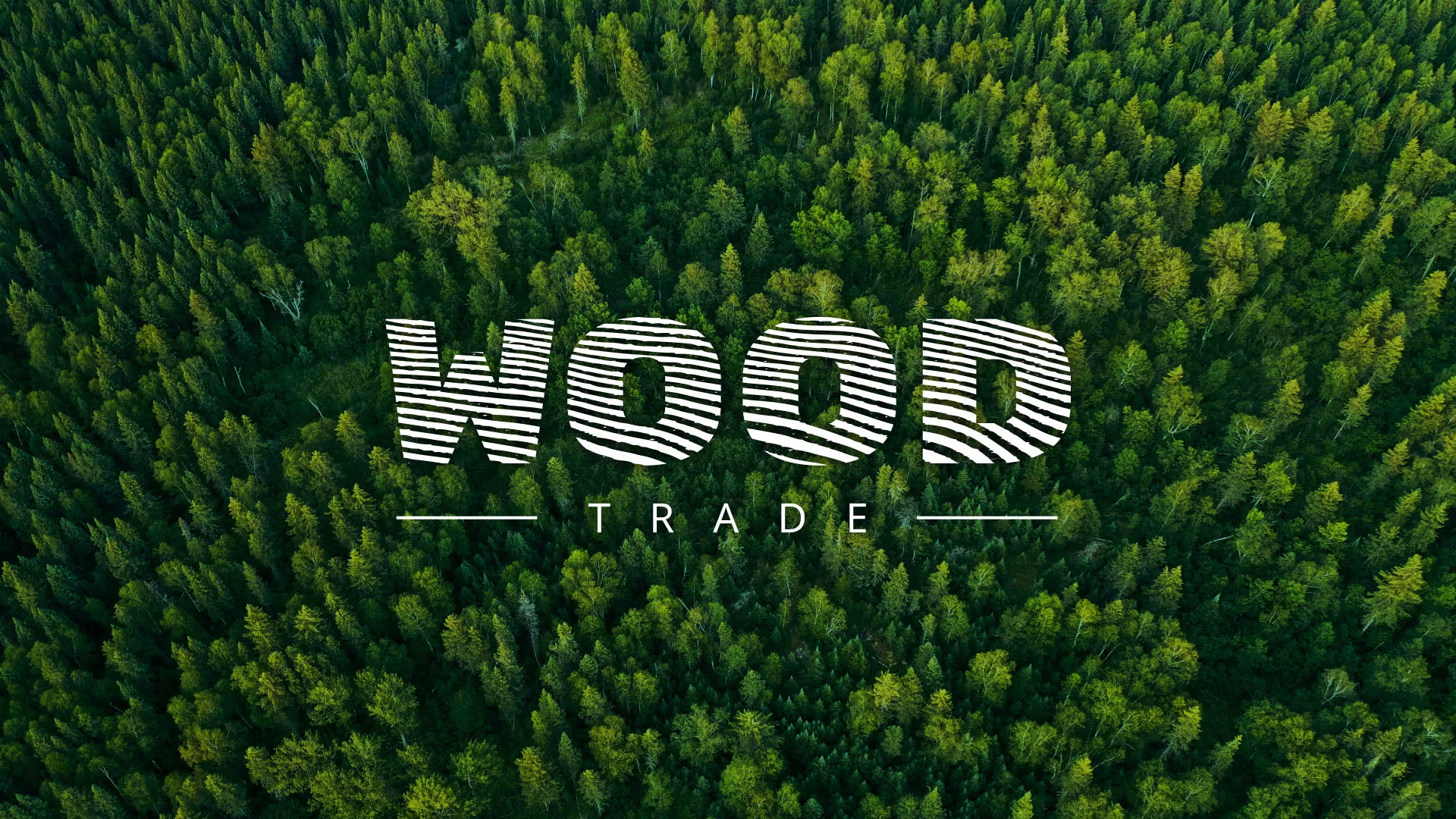 Разработка интернет-магазина компании «Wood Trade» в Мытищах