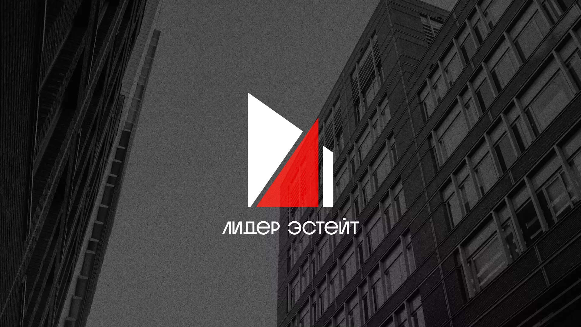 Сделали логотип для агентства недвижимости «Лидер Эстейт» в Мытищах